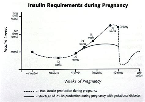 insulin requirements pregnancy.